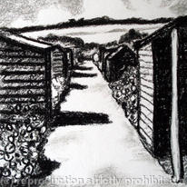 paths and sheds