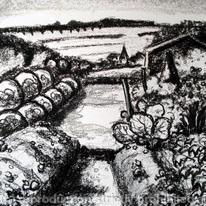 tea hut and trenches