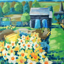 spring daffodils