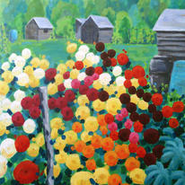 dahlias, courgettes and sheds