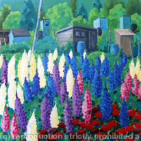 delphiniums and lupins