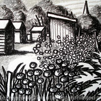 onions and cardoons