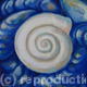 shells II