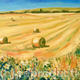 sunshine and haymaking