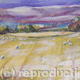 first snow in the sheepfield