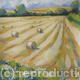 Hay making