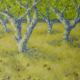 orchard I | (sold) | 50 x 50cm | acrylic on block orchard I