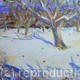 snow in the orchard