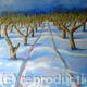 snow tracks