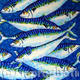 mackeral
