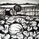giant pumpkins - plot…