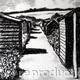 paths and sheds