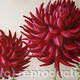 dahlias