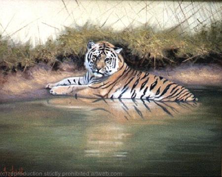 Tiger Cooling