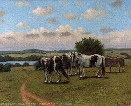 Horses at Harefield