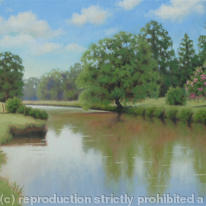 Landscape 5