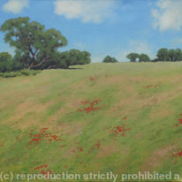 Landscape 8