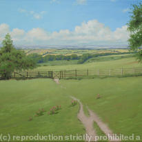 Landscape 12