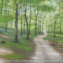 Landscape 13