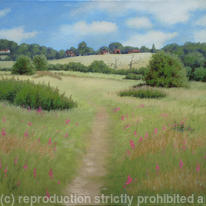 Landscape 14