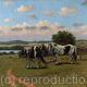 Horses at Harefield