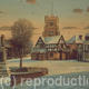 Snowy Pinner