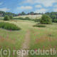 Landscape 14