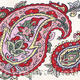Paisley Kashmir