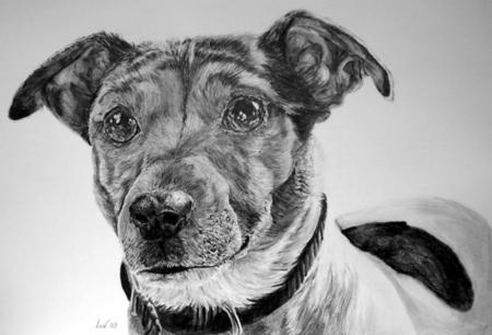JRT