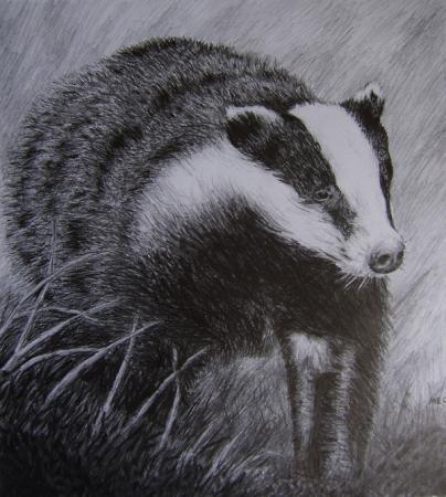 Badger by Mark