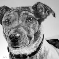 JRT