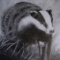 Badger by Mark