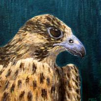 Peregrine X by Mark