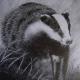 Badger by Mark