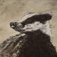 Ink Badger by Mark