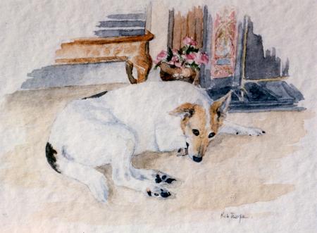 dog