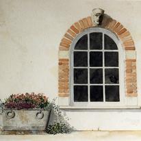 Flemish Window