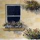 Window Box