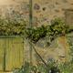 A farmyard