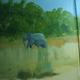 Scenes of Zimbabwe in…