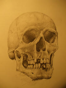 SKULL