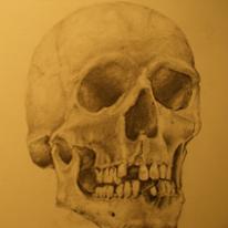 SKULL