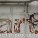 Smart Gas | | 30 x 41cm | Smart Gas