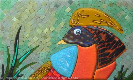 Golden Pheasant