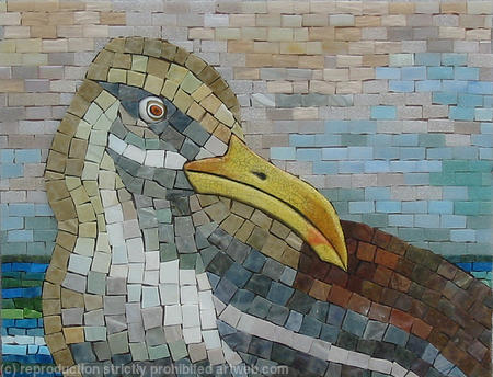 Seagull Head