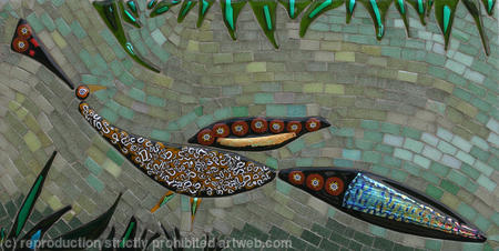 Brown Peacock