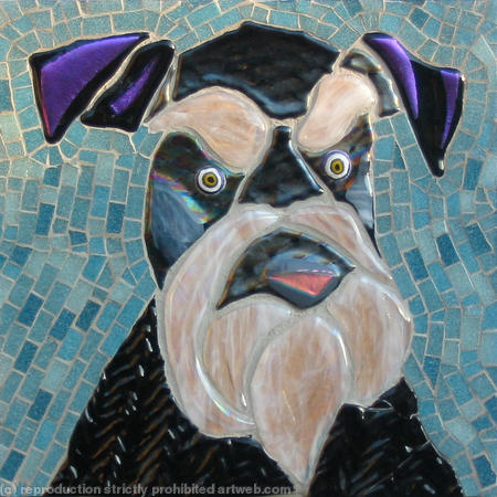 Schnauzer 