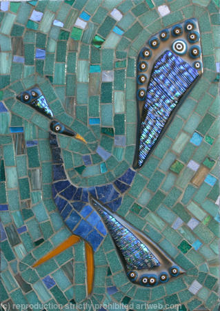 Blue Peacock Walking
