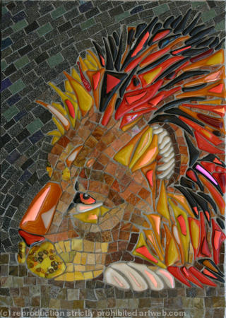 Lion Resting