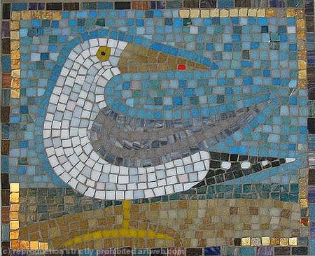 Herring Gull